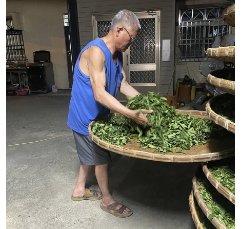 美季終於點頭答應了!?我們蜜香貴妃茶上市了