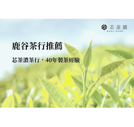 鹿谷茶行推薦｜芯茶濃南投鹿谷茶行，製茶40年的獨到工藝