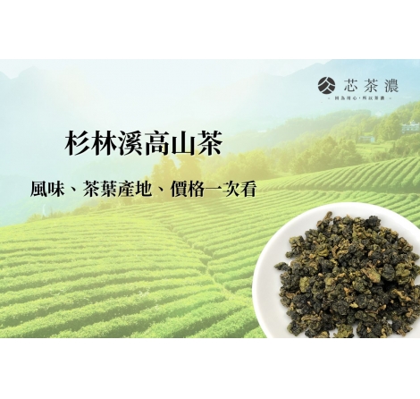 杉林溪茶是什麼茶？杉林溪高山茶風味、茶葉產地、價格一次看