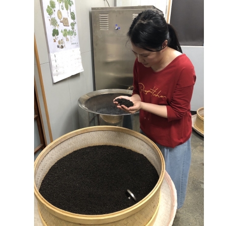 凍頂烏龍茶烘焙｜評茶師談焙火程度、看茶焙茶與傳統焙茶