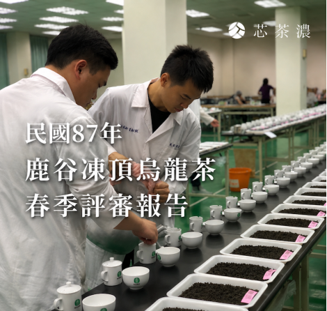 民國87年鹿谷凍頂烏龍茶春季評審報告|芯茶濃留存分享 民國87年鹿谷凍頂烏龍茶春季評審報告|芯茶濃留存分享