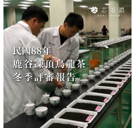 民國88年鹿谷凍頂烏龍茶冬季評審報告|921地震後的冬茶紀錄 民國88年鹿谷凍頂烏龍茶冬季評審報告|921地震後的冬茶紀錄