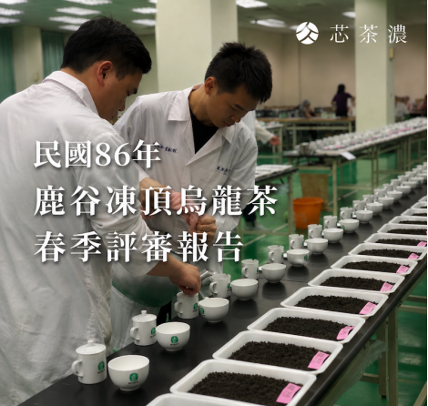 民國86年鹿谷凍頂烏龍茶春季評審報告|芯茶濃留存分享 民國86年鹿谷凍頂烏龍茶春季評審報告|芯茶濃留存分享