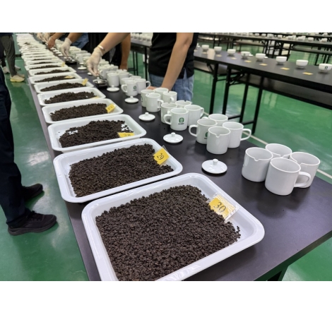 凍頂烏龍茶怎麼評？從鹿谷評茶研習，看初審、複審與共議制｜芯茶濃