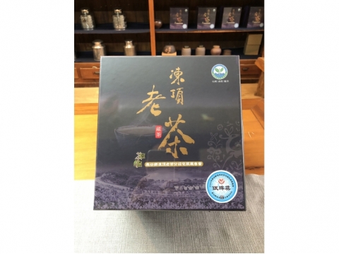 凍頂合作社比賽茶 (陳年老茶) -【銀牌獎】