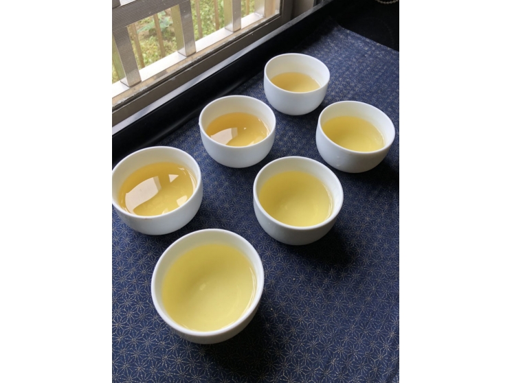 環保包系列 -【早春茶】 環保包系列 -【早春茶】