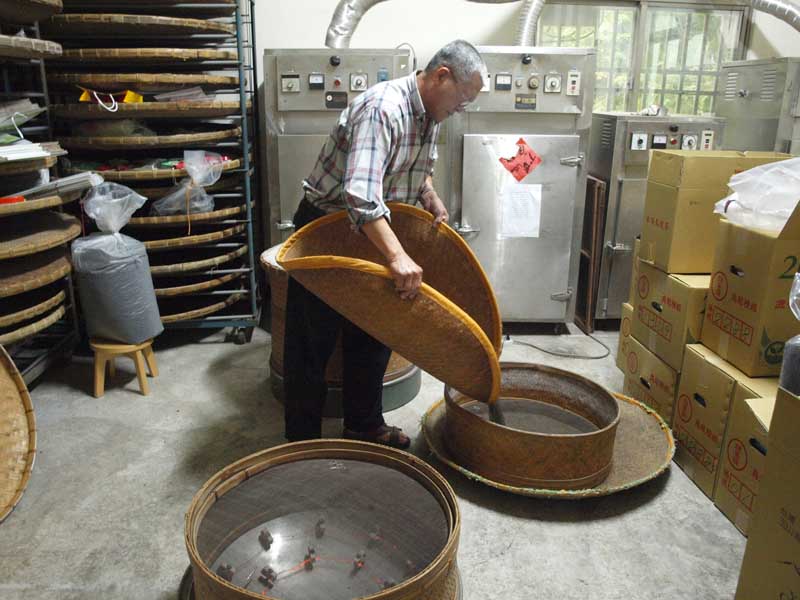 凍頂烏龍茶