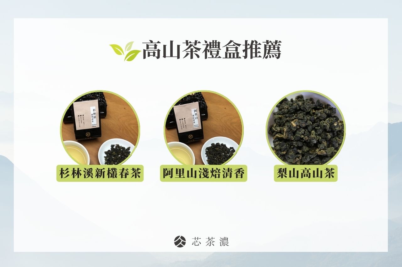 3款高山茶推薦