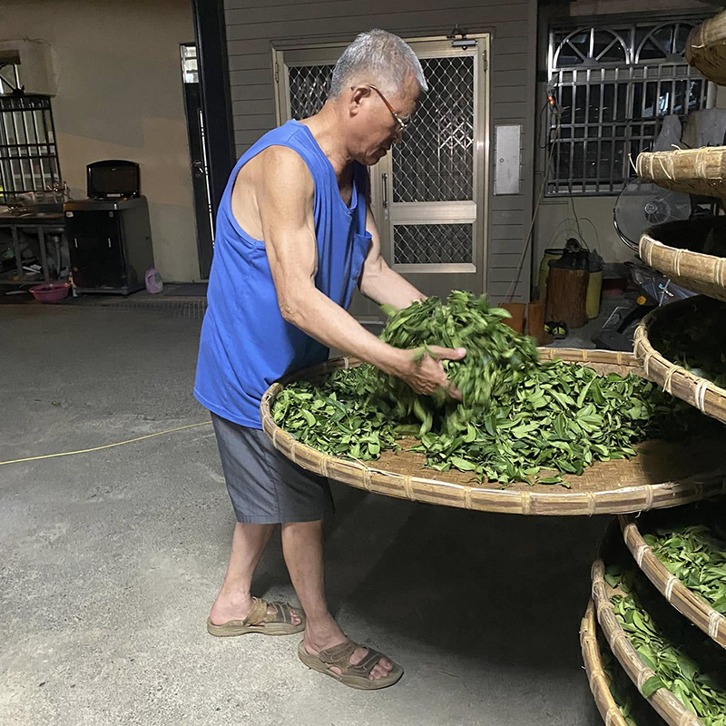 凍頂烏龍茶