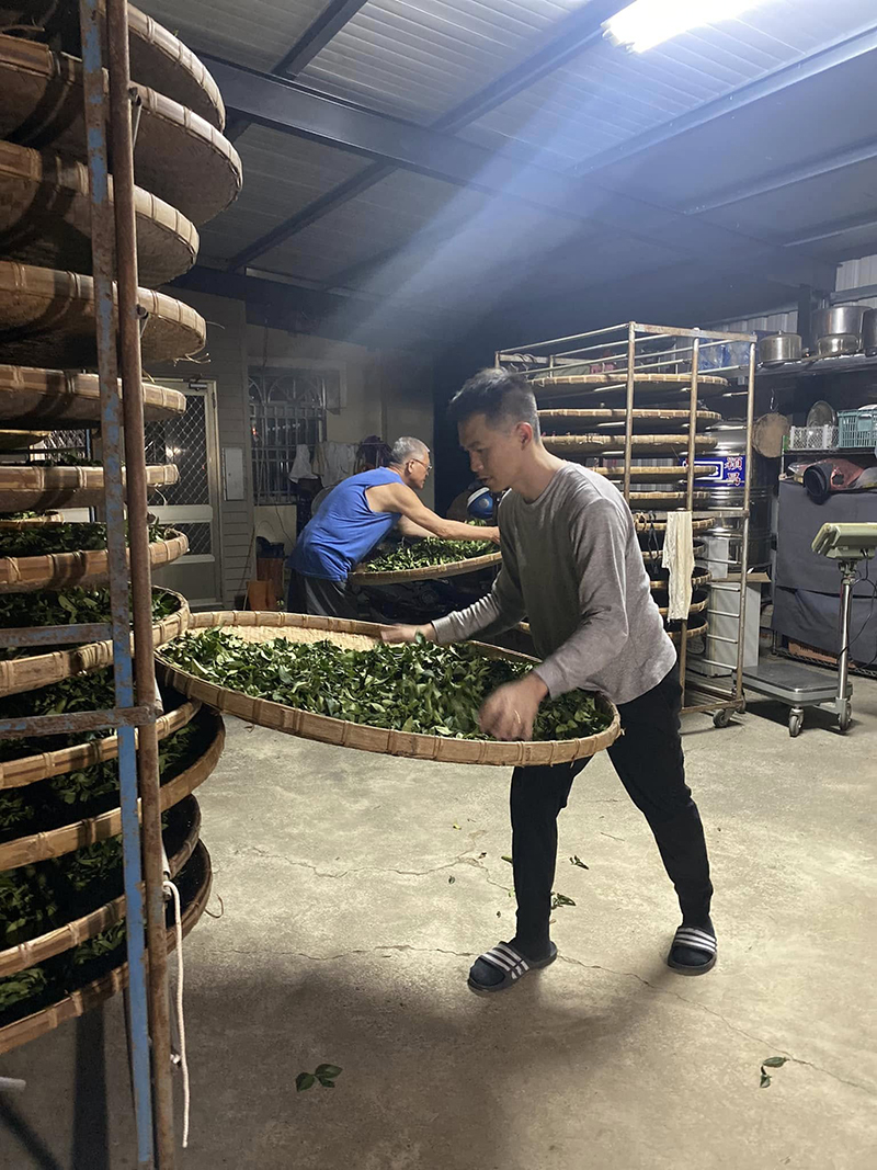 蜜香貴妃茶製作