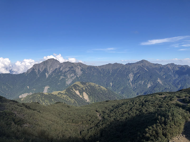 奇萊山蜜香烏龍茶