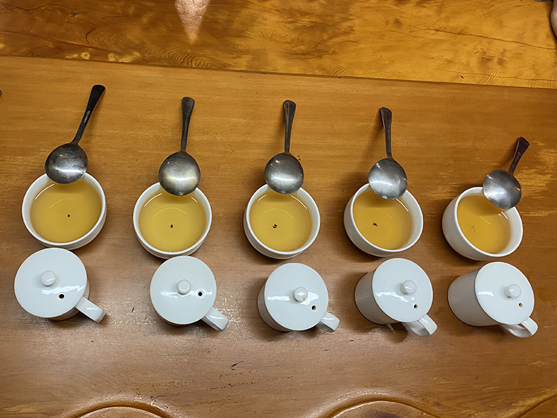 鹿谷鄉農會比賽茶茶品特色