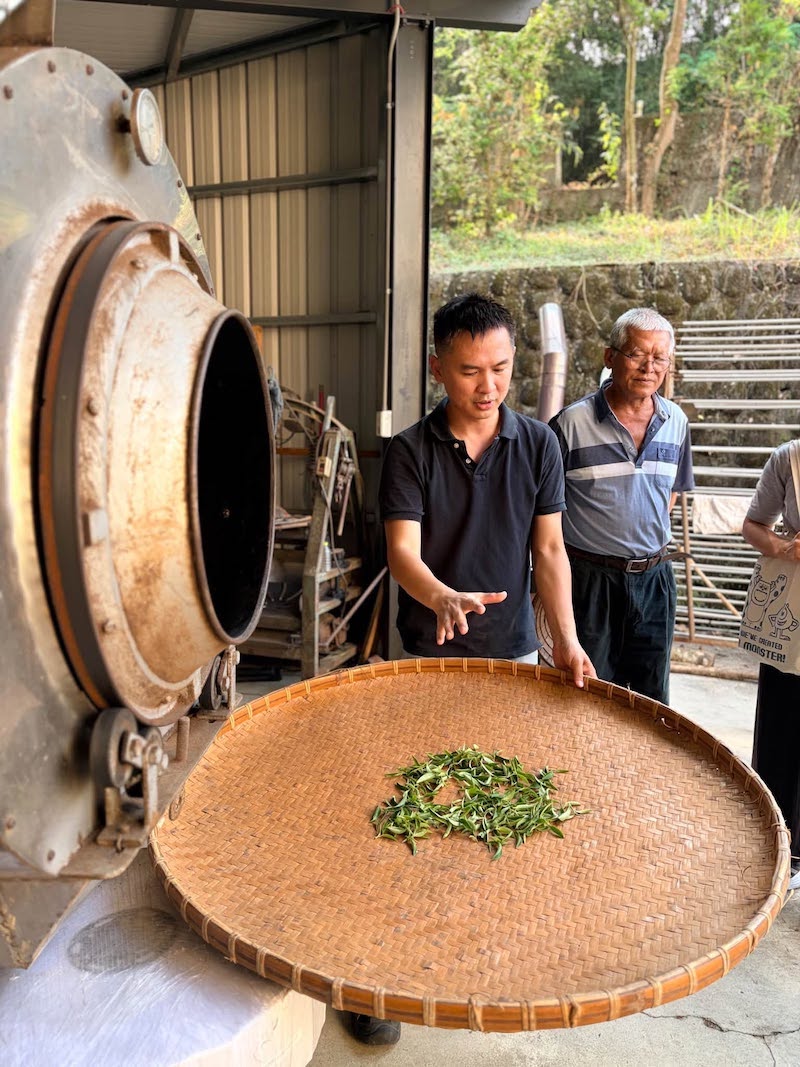 鹿谷凍頂烏龍製茶工藝導覽 鹿谷茶文化體驗走進凍頂烏龍製茶現場