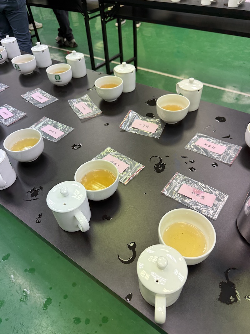 114年鹿谷凍頂烏龍茶 特等獎