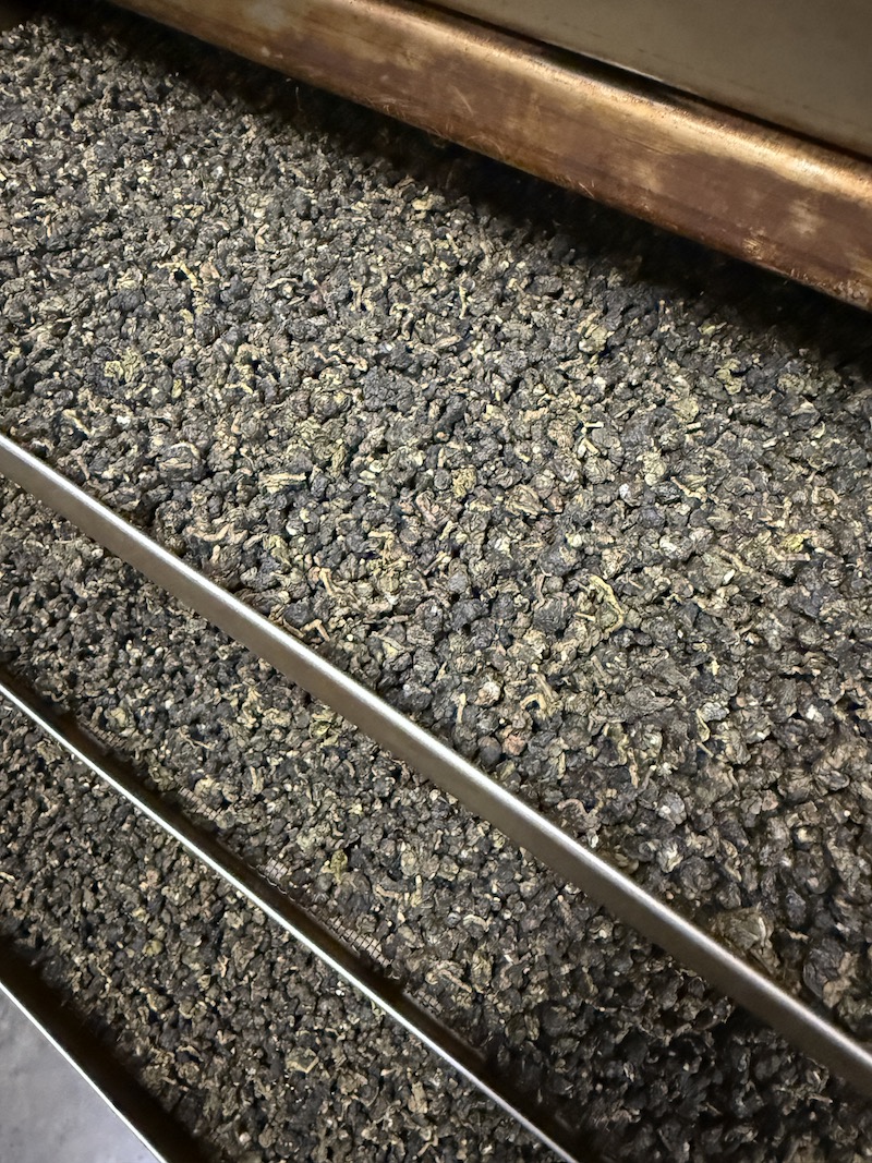 貴妃茶葉外觀：白毫特別明顯