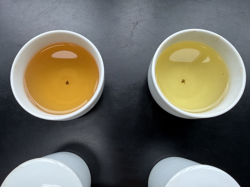 凍頂烏龍茶與阿里山高山烏龍茶湯顏色比較