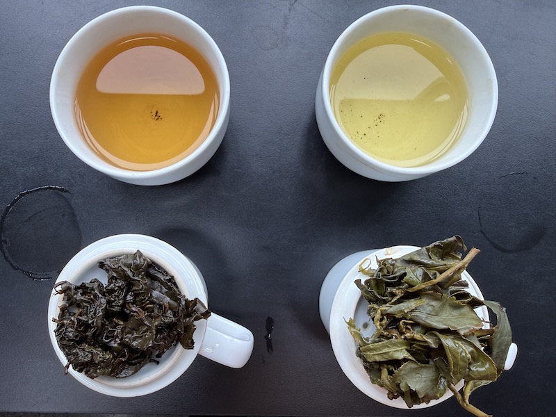 凍頂烏龍與阿里山高山烏龍茶湯及葉底比較