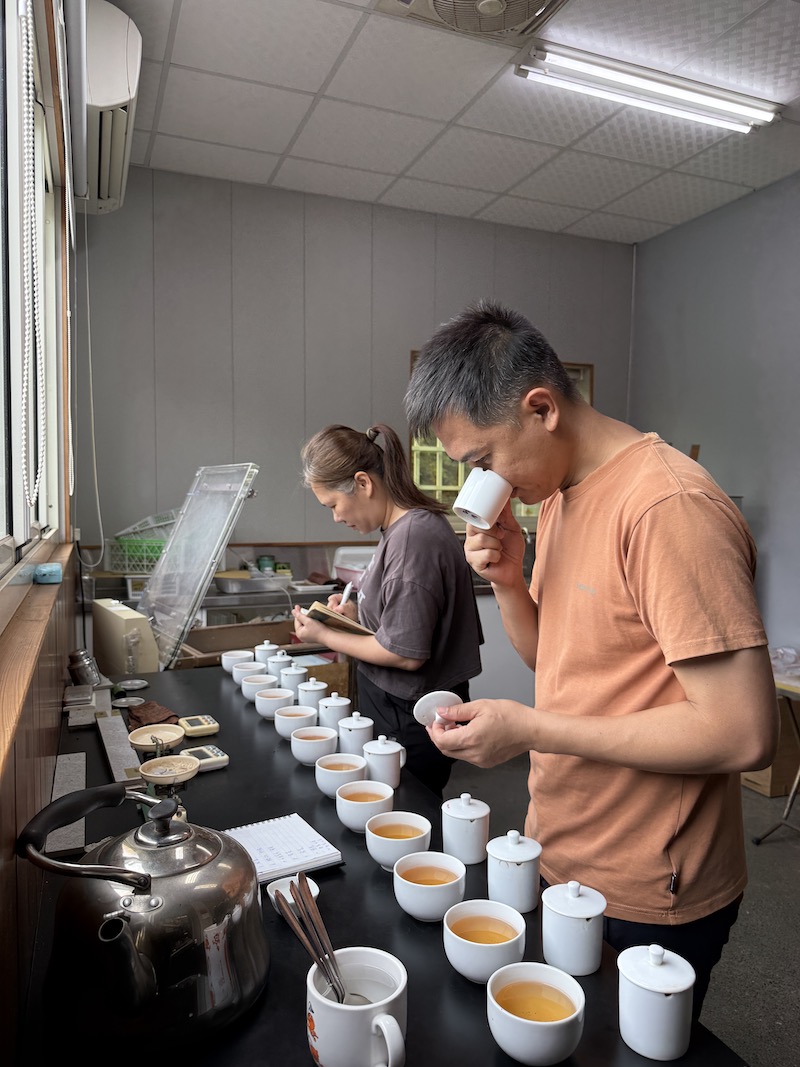 蜜香貴妃茶評鑑