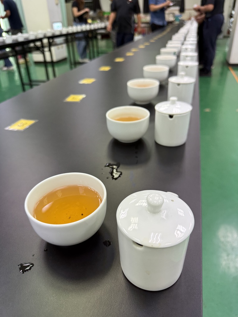 凍頂烏龍茶 比賽茶