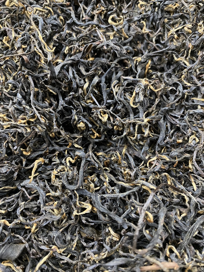 台灣高山小葉種紅茶