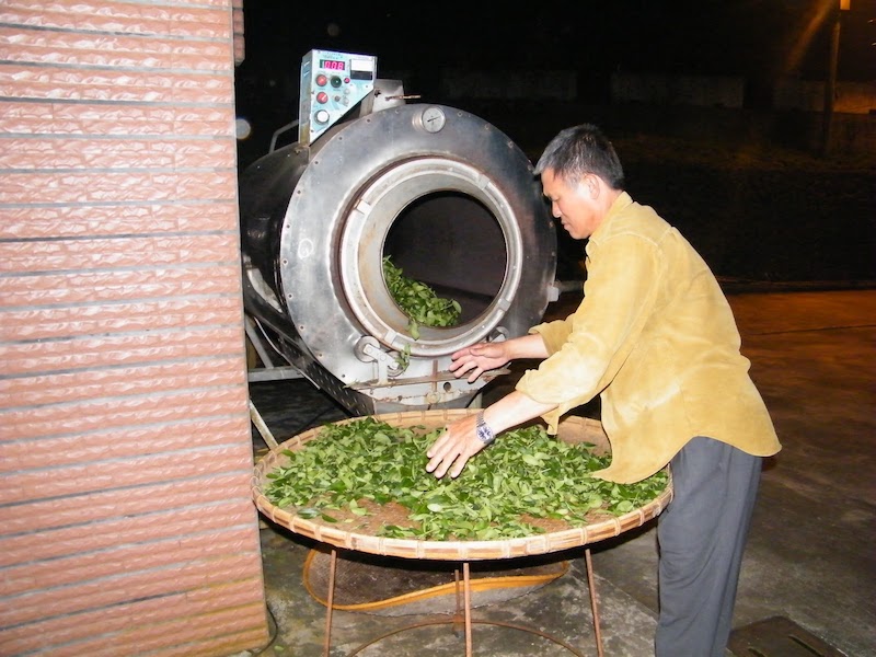 凍頂烏龍茶炒菁
